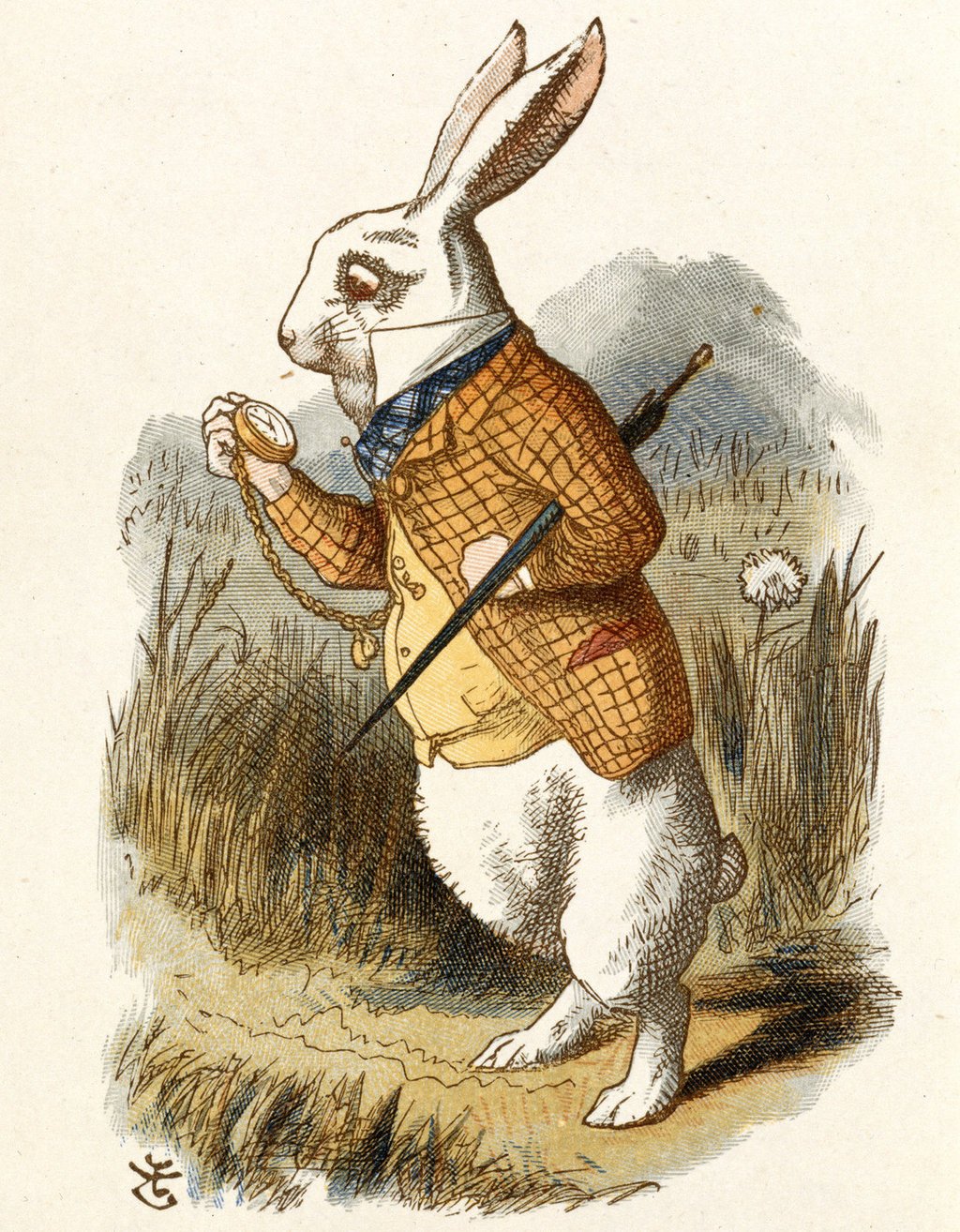 Psychological Analysis Of The White Rabbits Character And His Relentless Hurry